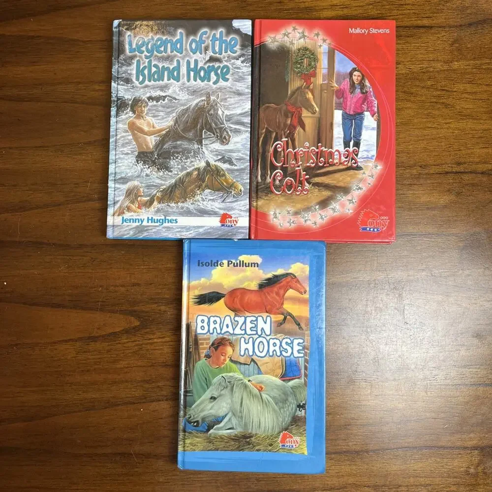 Pony Hardcover Chapter Books For Middle Grade Readers, Lot of 3, Horse Riding